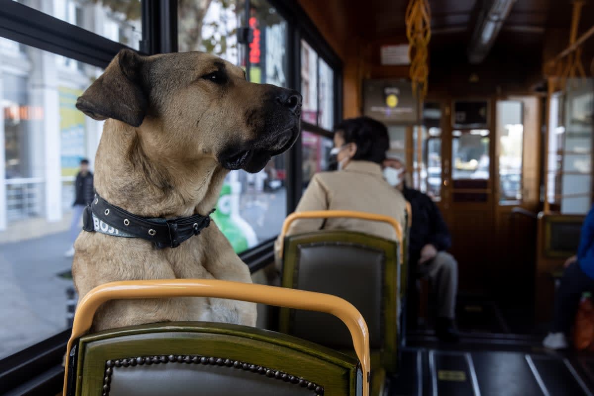 Image Source: Getty Images | Photo by Chris McGrath/Getty Images