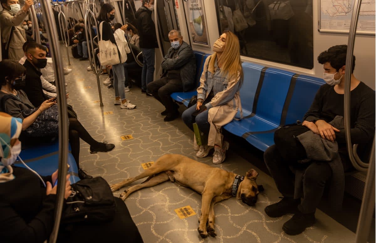 Image Source: Getty Images | Photo by Chris McGrath/Getty Images