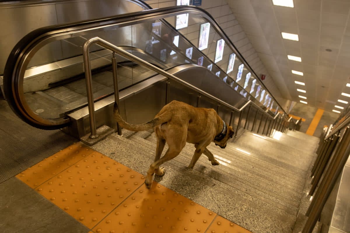 Image Source: Getty Images | Photo by Chris McGrath/Getty Images
